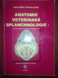 Anatomie veterinara. Splanchnologie- Aida Ferat Postolache