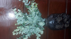 Buchet frunze artificiale - cod BF 01, H 30 cm , verde foto