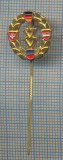 AX 239 INSIGNA -TURISM MONTAN - DRUMETIE MONTANA- ,,IVV&quot; -FRUMOASA