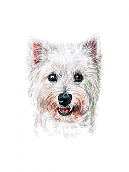 Sticker decorativ Caine West Highland White Terrier, Alb, 73 cm, 3728ST