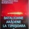Batalioane aradene la Timisoara &ndash; Alexandru Ioan Chis