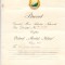 QW13 14 - 1960 - brevet - Ordinul Meritul militar - clasa a III - a - RPR
