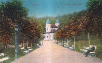 Pitesti. Aleea ,,Trivalea&amp;quot; (circulata) foto