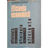 EFICIENTA ECONOMICA. CONCEPT, PROCEDEE DE DETERMINARE, CAI DE CRESTERE-GHEORGHE SICLOVAN-245891