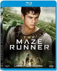 Labirintul 1: Evadarea / The Maze Runner - BLU-RAY Mania Film foto