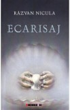 Ecarisaj - Razvan Nicula
