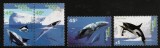 TERITORIILE AUSTRALIENE DIN ANTARCTICA 1996 FAUNA MARINA BALENE SI DELFINI, Nestampilat