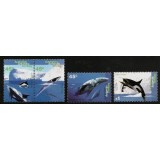 TERITORIILE AUSTRALIENE DIN ANTARCTICA 1996 FAUNA MARINA BALENE SI DELFINI