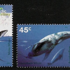 TERITORIILE AUSTRALIENE DIN ANTARCTICA 1996 FAUNA MARINA BALENE SI DELFINI