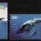 TERITORIILE AUSTRALIENE DIN ANTARCTICA 1996 FAUNA MARINA BALENE SI DELFINI