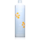 Echosline Hydrating Shampoo sampon hidratant pentru par uscat si indisciplinat 1000 ml