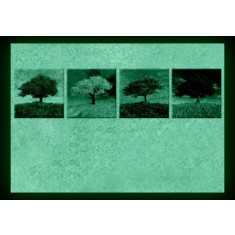 Set tablou fosforescent Patru Anotimpuri