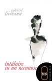 Intalnire cu un necunoscut (ebook)