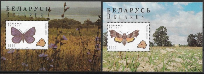 BELARUS 1996 FAUNA INSECTE FLUTURI