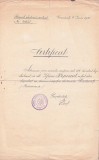 A4029N Certificat de deputat ales la Rădăuți, 1920, Biroul electoral central Cernăuți