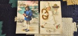 Lot 2 carti postale LA MULTI ANI , anii 1930