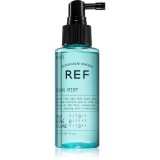 REF Ocean Mist N&deg;303 spray cu sare cu efect matifiant 100 ml