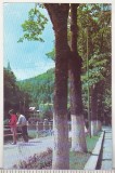 bnk cp Slanic Moldova - Vedere - circulata