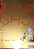 GHIDUL PRACTIC ILUSTRAT DE FENG SHUI Lillian Too