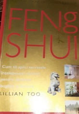 GHIDUL PRACTIC ILUSTRAT DE FENG SHUI Lillian Too