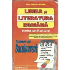 Limba si literatura romana pentru elevii de liceu - Mariana Badea