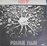 Vinil LP Riff - Primii Pasi (Electrecord, 1989) Folk Pop Rock, Stare Buna