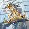 Gold Goblin