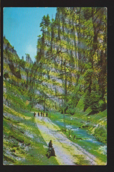 CPIB 19722 CARTE POSTALA - CHEILE BAMBOVICIOAREI, RPR