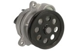 Pompă de apă, răcire motor FORD TRANSIT V363 caroserie (FCD, FDD) (2013 - Prezent) THERMOTEC D1G060TT