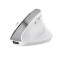 TRUST BAYO+ ERGONOMIC WIRELESS MOUSE WHT &quot;25399&quot; (timbru verde 0.18 lei)