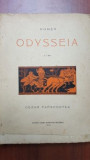 Odysseia tradusa de Cezar Papacostea- Homer