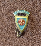 Insigna clubul de fotbal - HAPOEL (ISRAEL)