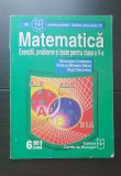 Matematică. Exerciții, probleme și teste pentru clasa a V-a - Gheorghe Cristescu, Rodica-Mihaela Dăneț, Olga Diaconiuc