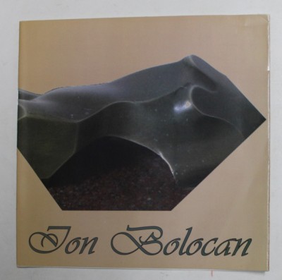 ION BOLOCAN - SCULPTURA , CATALOG DE EXPOZITIE , MARTIE 2013 foto