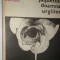 Yves Gandon - Jaquette, doamna urgiilor