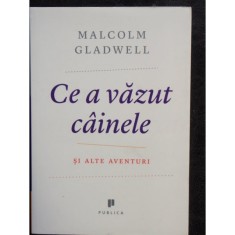 CE A VAZUT CAINELE - MALCOLM GLADWELL foto