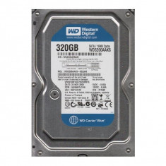 Hard disk Western Digital 320GB SATA foto