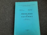 PROBLEME DE ALGEBRA ION D ION/NICOLAE RADU
