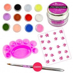 Kit Acryl Consumabile Color Promotie #10 foto