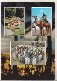 bnk cp Africa de Nord - Traditii - uzata