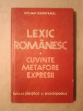 Stelian Dumistrăcel - Lexic rom&acirc;nesc: cuvinte, metafore, expresii