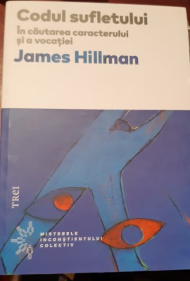 CODUL SUFLETULUI JAMES HILLMAN foto