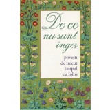 De Ce Nu Sunt Inger. Povesti De Trecut Timpul Cu Folos, - Editura Sophia