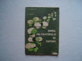 Ghidul cultivatorului de ciuperci - N. Mateescu, 1982, Alta editura