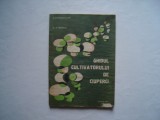 Ghidul cultivatorului de ciuperci - N. Mateescu, 1982, Alta editura