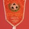 Fanion (model vechi) fotbal - Federatia de Fotbal din URSS