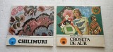 CROSETA DE AUR + CHILIMURI ,SMARANDA SBURLAN ALBUM CALEIDOSCOP