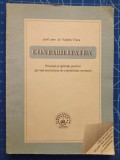 Cumpara ieftin Contabilitatea - principii și aplicații practice / Valerin Voica / 1993
