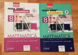 Matematica clasa VIII Partea I + II de Anton si Maria Negrila, Clasa 8