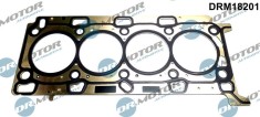Garnitura, Chiulasa 289544 DRM18201